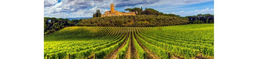 Vins rouges d'italie - Achetez et Vendez vos vins