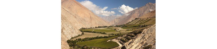 vin du chili La vallée de l’Aconcagua