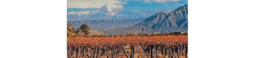 vin du chili La vallée de Casablanca