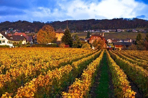 Domaine de l'Abbaye de Mont - CH